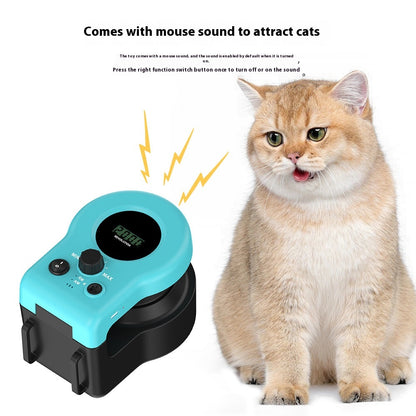 ChaseWhisker™ – L'exercice amusant pour les chats paresseux 😺💨