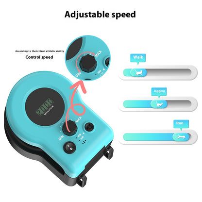 ChaseWhisker™ – L'exercice amusant pour les chats paresseux 😺💨